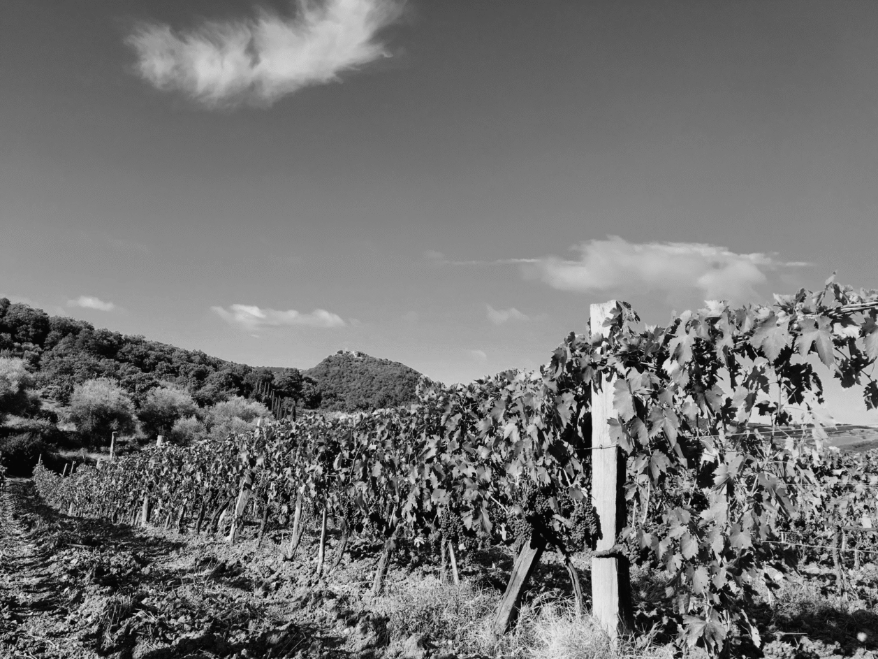 La Stesa Monte Amiata